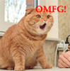 FearOmg